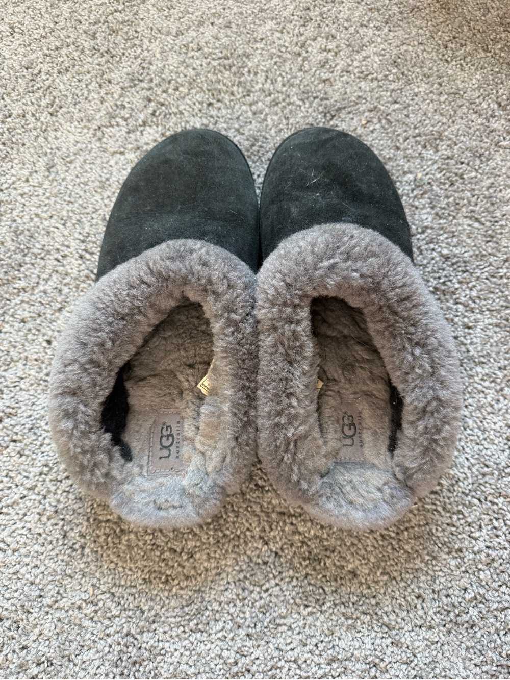 Ugg Slippers Black